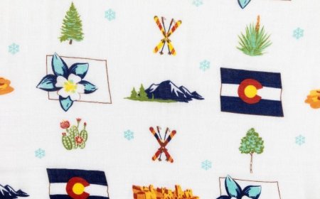 Top California Swaddle Blankets Every Parent Will Love