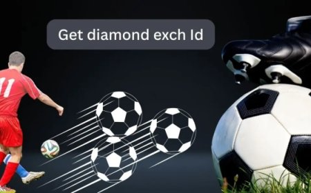 A Beginner’s Guide to Getting Started with diamondexch99