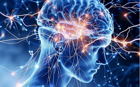 How Ibogaine Treatment Helps Improve Traumatic Brain Injury (TBI) Symptoms