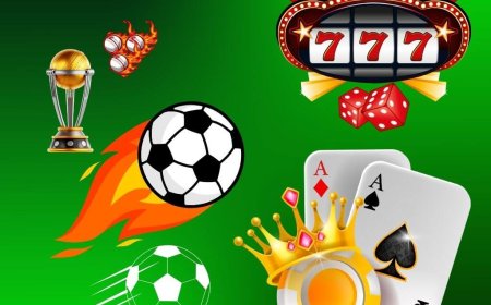 Step-by-Step Process for Secure Access with bet bhai 9 login