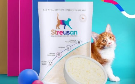 Die richtige Katzenstreu für Ihr Kätzchen finden