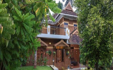 Top 10 Traditional Foods to Try in a Kerala Farmhouse Stay