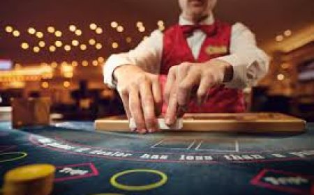 Cómo elegir el mejor casino online en España: Guía completa