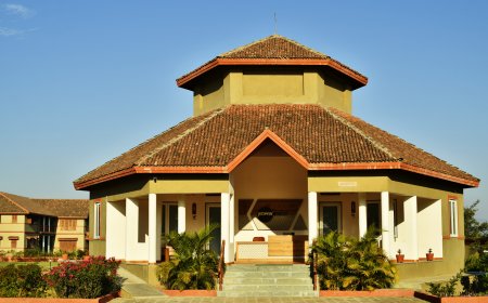 Ayurveda and Naturopathy: A Powerful Combination for Lifestyle Diseases