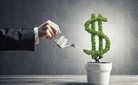 Vape Finance: Understanding Costs and Payment Options in the Vaping World