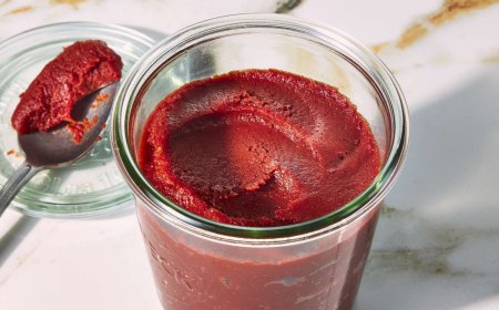 Report on Tomato Paste Manufacturing Plant Project Report 2025, Machinery, Cost and Raw Material Requirements