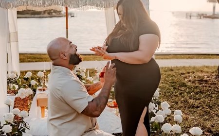 How To Create Effective Proposals In Anna Maria?