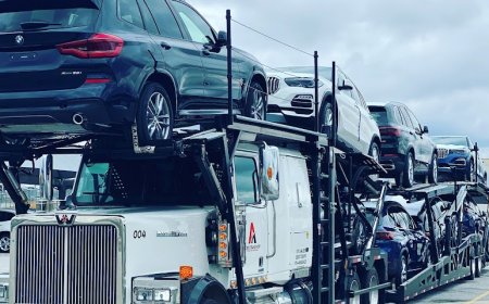 Florida to New York Car Shipping: Reliable Solutions for Every Vehicle