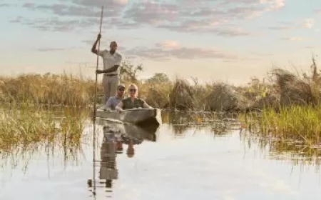 Explore the Wild Wonders: Memorable Tours and Safaris Across Africa