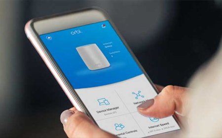 Using the Orbi App Setup for Remote Network Management
