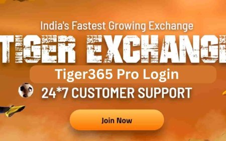 Tiger365 Pro Login – Your Trusted Gateway to Seamless Online Gaming