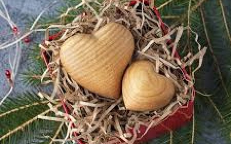 9 Creative First Homeowner Gift Ideas You Can’t Go Wrong With