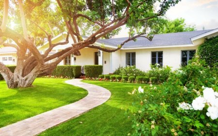 Beyond the Surface: The Untold Science and Strategy of Stump Removal and Grinding Services