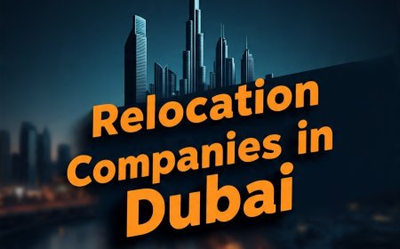 Relocation Companies in Dubai That Actually Make Moving Easy