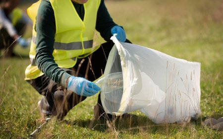 Business Plan to Setup a Biodegradable Garbage Bag Manufacturing Plant: Project Report 2025