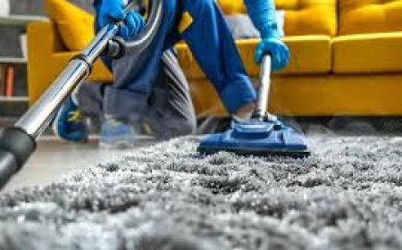Responsive Carpet Cleaning Services That Show Up On Time