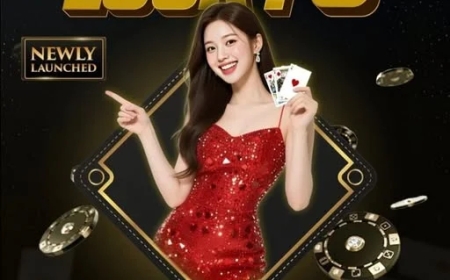 Tiger365 ID – Trusted Online Cricket & Casino Platform