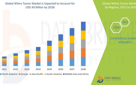 Global Wilms Tumor Market - Industry Trends and Forecast to 2028