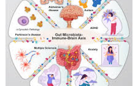 Gut Health and Immunity: The Link Backed by Science