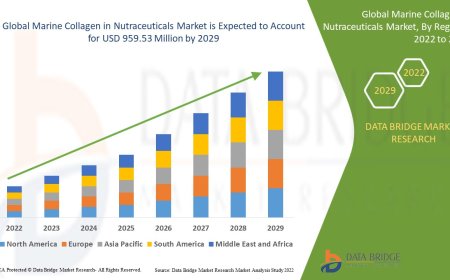 Global Marine Collagen in Nutraceuticals Market – Industry Trends and Forecast to 2029