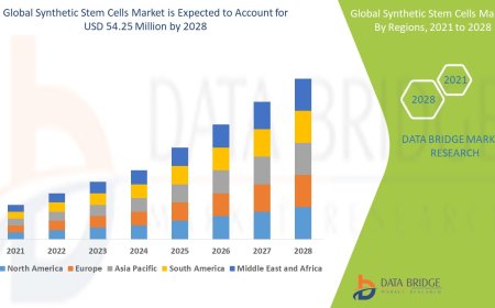 Global Synthetic Stem Cells Market – Industry Trends and Forecast to 2028