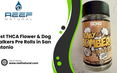 Best THCA Flower & Dog Walkers Pre Rolls in San Antonio