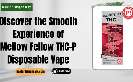 Mellow Fellow THC-P Disposable Vape | Premium Disposables at Master Dispensar