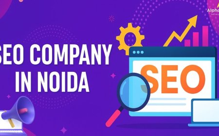 Expert SEO Services Company in Noida
