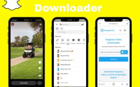 Snapchat Story Downloader for Private & Public Stories