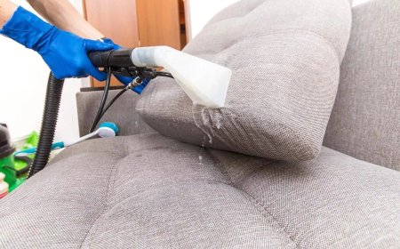 Upholstery Cleaning Services Columbia, SC