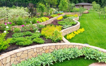 Landscaper services Houston, TX