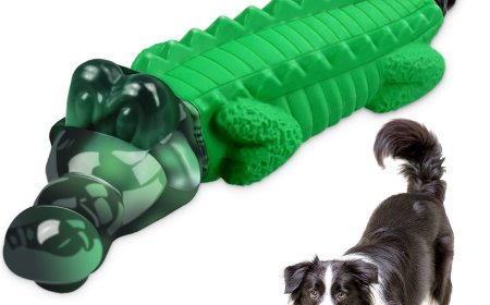 Durable Playtime: Finding the Right Toys for Strong Chewers