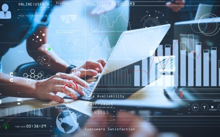 The Importance of Professional WordPress Support for Long-Term Success