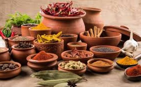 Explore Premium Herbs and Spices in Canada – The Spice Traders Collection