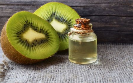 Capital Costs Involved in Setting Up a Kiwi Seed Oil Processing Plant