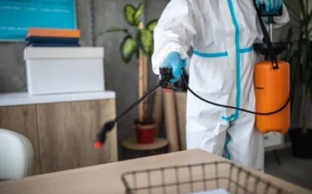 How the Best Pest Control Spray for Homes Stop Spiders Instantly?