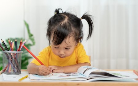 How Best Preschool Franchise in India Supports New Entrepreneurs with Comprehensive Training