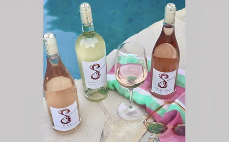 Why Healdsburg California Wineries Are a Top Destination for Tourists