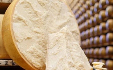 Where to Buy Parmigiano Reggiano and Grana Padano for Sale Online