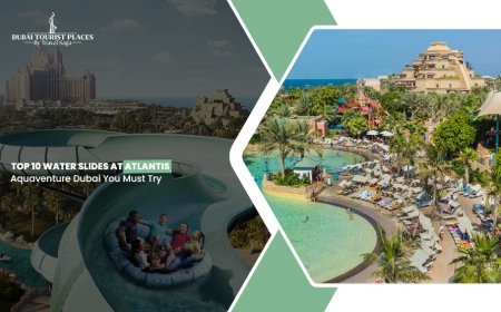 Top 10 Water Slides at Atlantis Aquaventure Dubai You Must Try