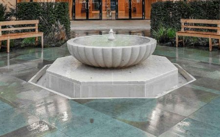 Essential factors in planning functional and aesthetic water features