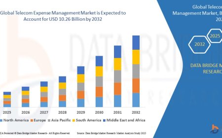 Telecom Expense Management Market Size, Share, and Trends Analysis Report – Industry Overview and Forecast to 2032