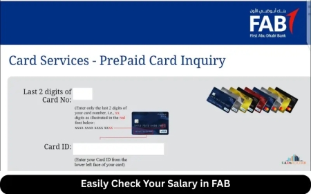 Fab Balance Check: Strategies for Optimal Performance