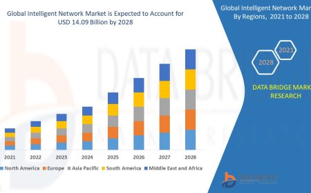 Intelligent Network Market – Industry Trends and Forecast to 2028