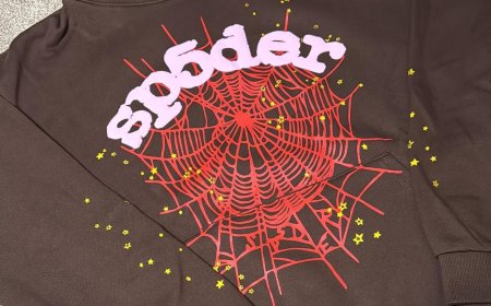 The Spider Hoodie Movement: From Niche to Mainstream