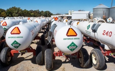 Anhydrous Ammonia Manufacturing Plant Report 2025: Project Details, Requirements and Costs Involved