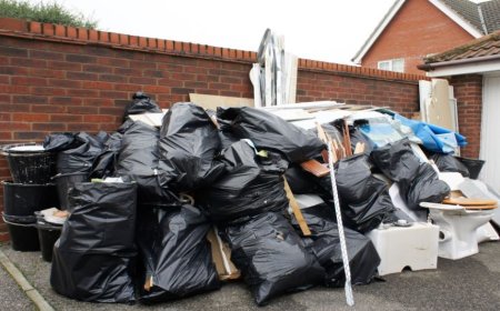 Clear the Chaos: Junk Removal in Ellijay GA Made Simple