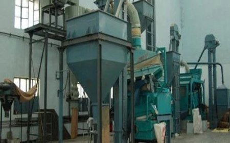 Project Setup Cost of Seed Processing Plant, Machinery, Raw Materials & Technology: Detailed Report