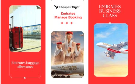 What Are the Benefits of Cabin Crew on Emirates?