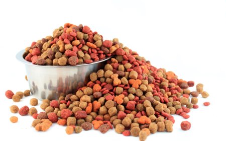 Report on Dog Food Manufacturing Plant- Detailed Process Flow